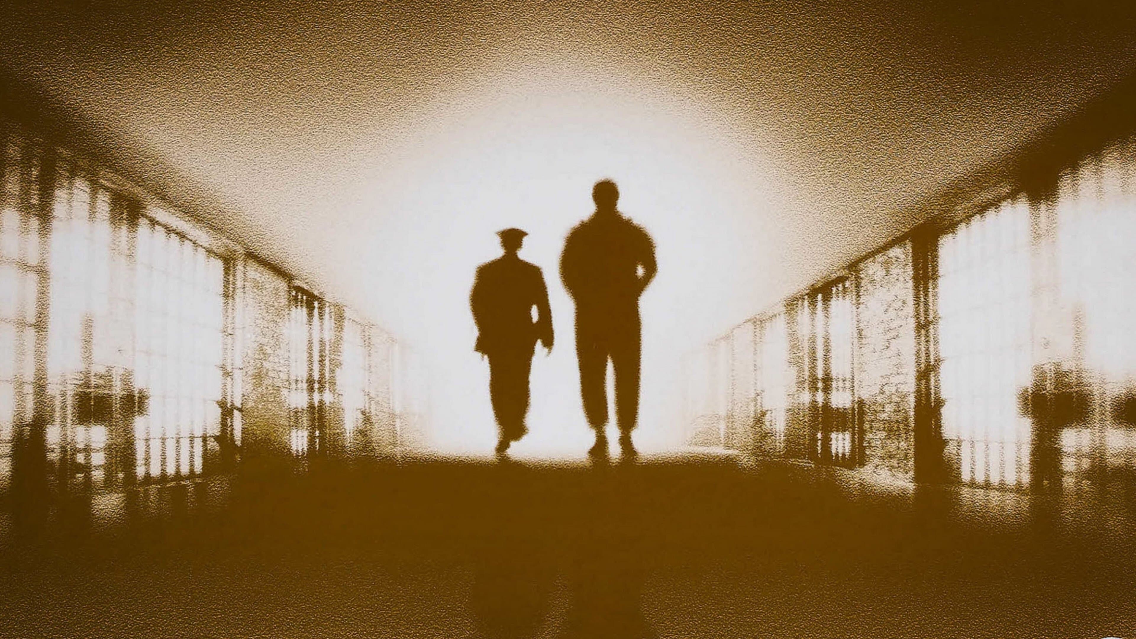 poster-images